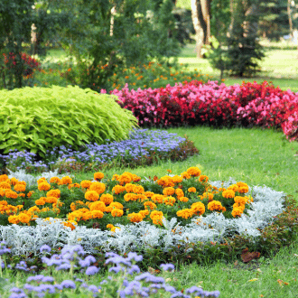 Landscape Design Services in Patna