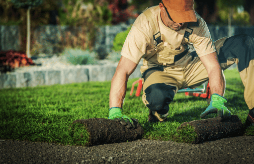 Lawn Installation Services