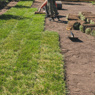 Lawn Installation Services in Patna