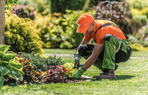 Garden Maintenance Services