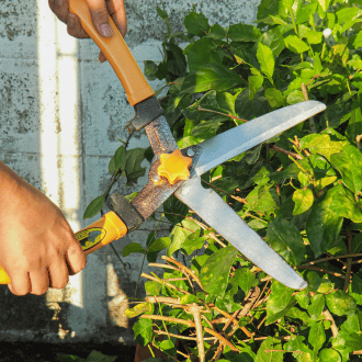 Garden Maintenance Services in Patna