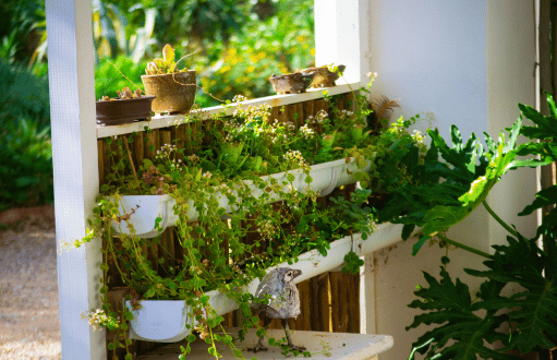 Vertical Garden Installation