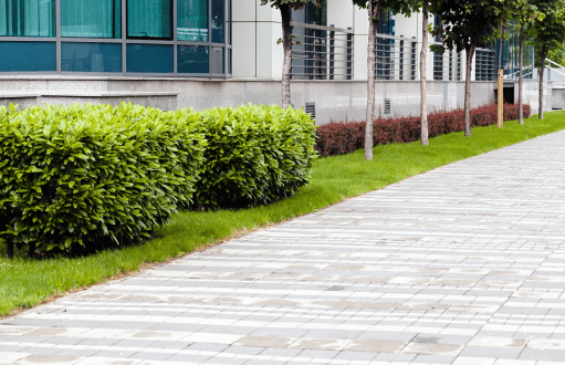 Commercial Landscaping Services