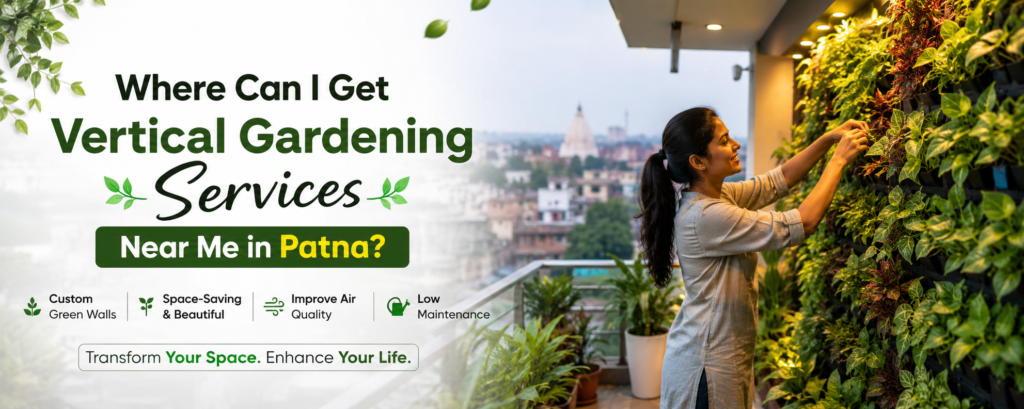 If you're looking for vertical gardening services near you in Patna, you're part of a growing trend of homeowners, apartment residents, and business owners embracing innovative green solutions.